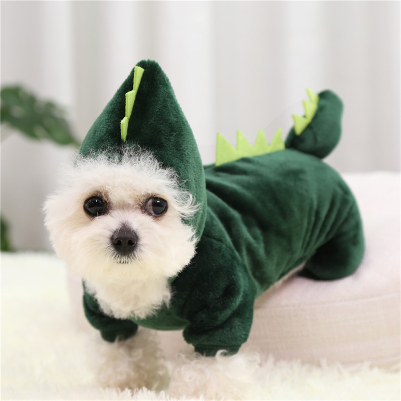 Green Outfit for Small Dogs