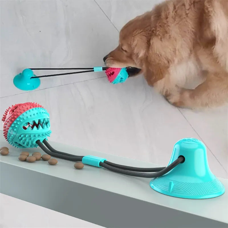 Suction Cup Interactive Dog Toy