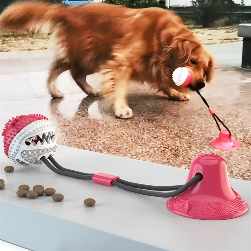 Suction Cup Interactive Dog Toy