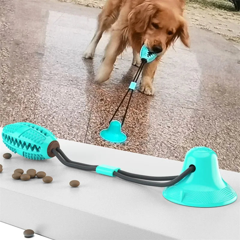 Suction Cup Interactive Dog Toy