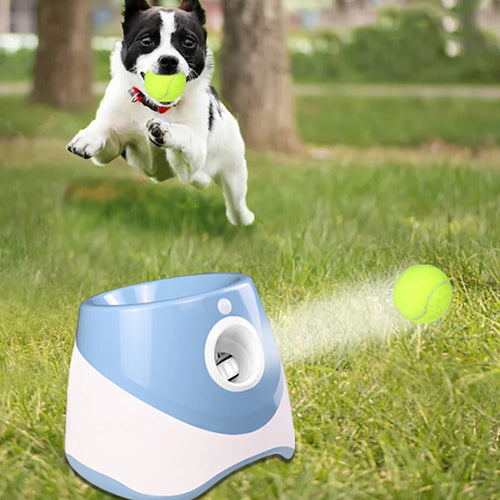 Dog leaping to catch a ball launched from the blue automatic tennis ball launcher outdoors