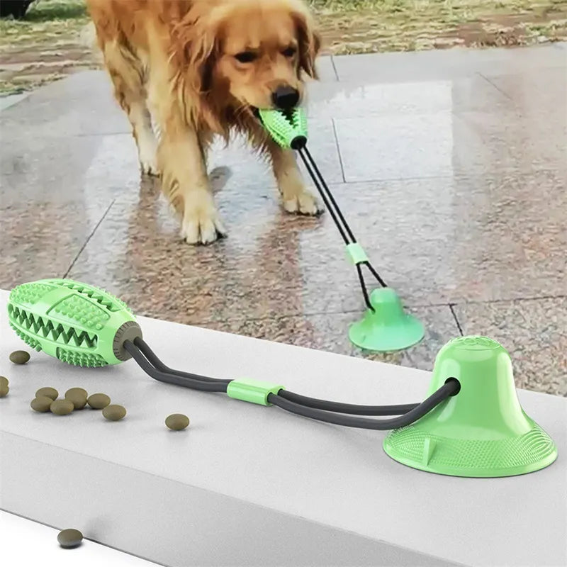 Suction Cup Interactive Dog Toy