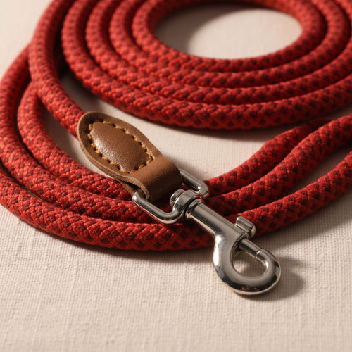 Close up of an adjustable nylon dog collar and leash set featuring leather accents and polished stainless steel hardware.