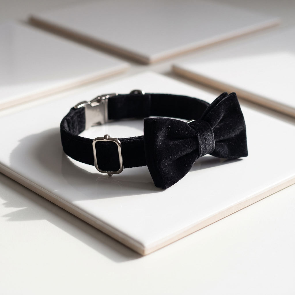 Black bow tie dog collar on white ceramic tile, with clear focus on buckle and fabric contrast under directional light.