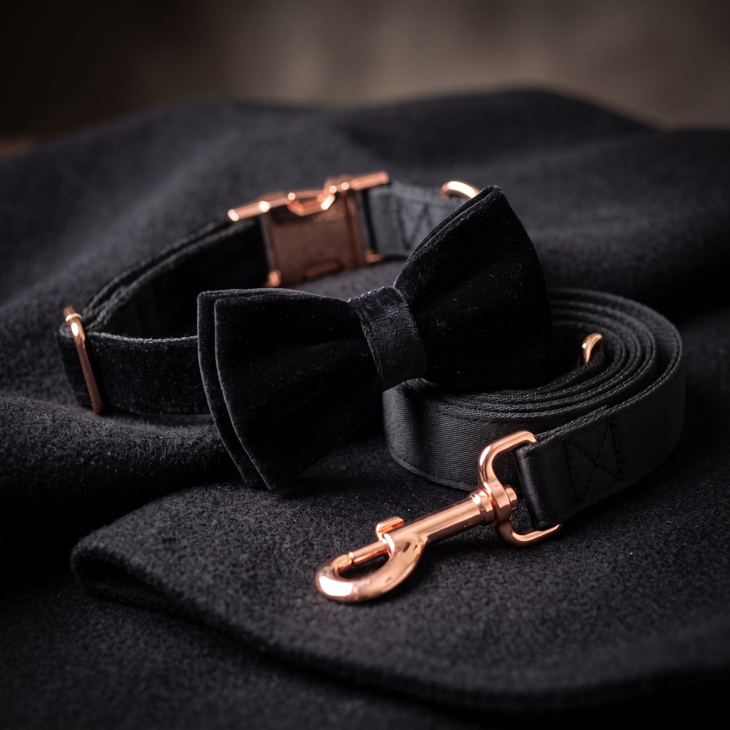 Close-up of bow tie collar on wool fabric, with crisp edges and subtle weave details highlighted by front-left light.