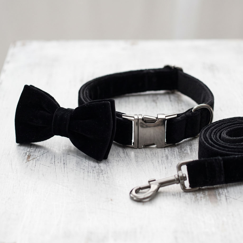 Close-up of black dog collar with bow tie, showcasing metal buckle and fabric details on white brushed metal background.