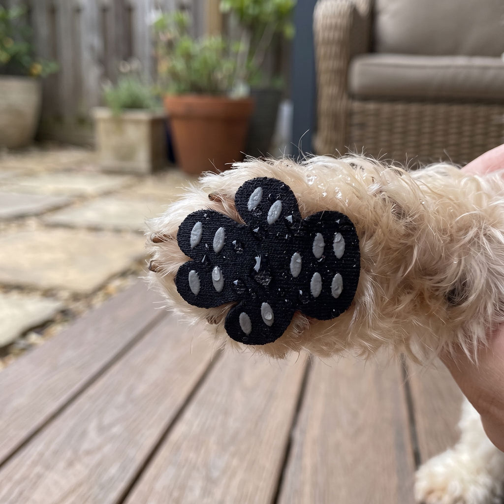 Profile shot of dog's paws with waterproof anti-slip pads and water beads on surface.