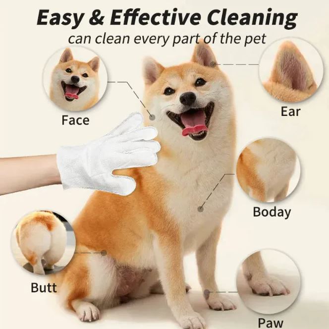 Disposable Pet Cleaning Gloves & Wipes