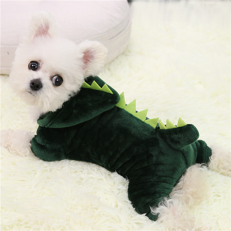 Green Outfit for Small Dogs