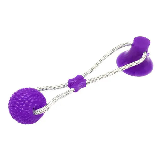 Suction Cup Interactive Dog Toy