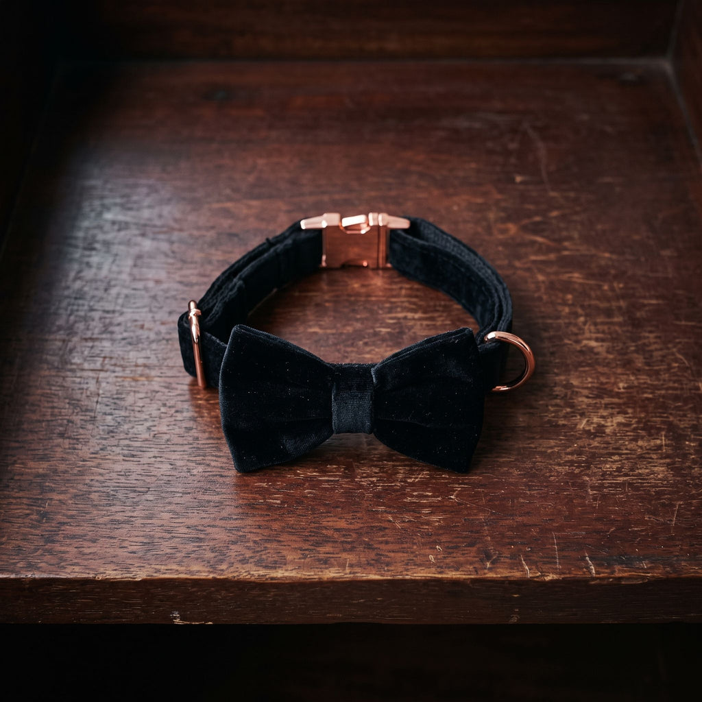 Dog collar arranged on dark mahogany shelf, capturing metal sheen and fabric texture with directional lighting.