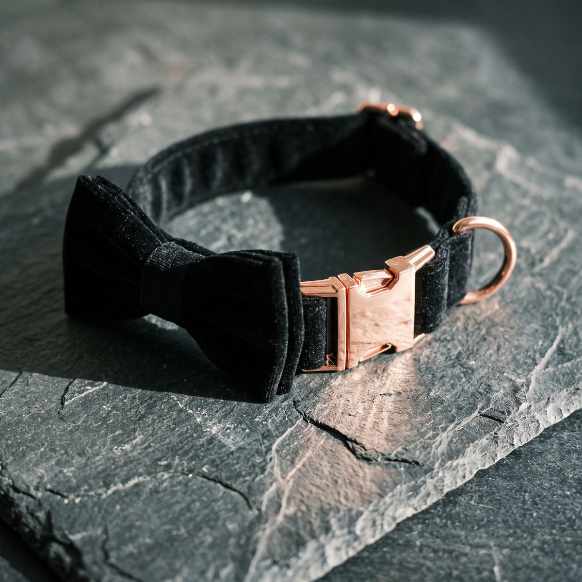 Dog collar with bow tie displayed on grey slate stone slab, highlighting metal and fabric textures with natural lighting.