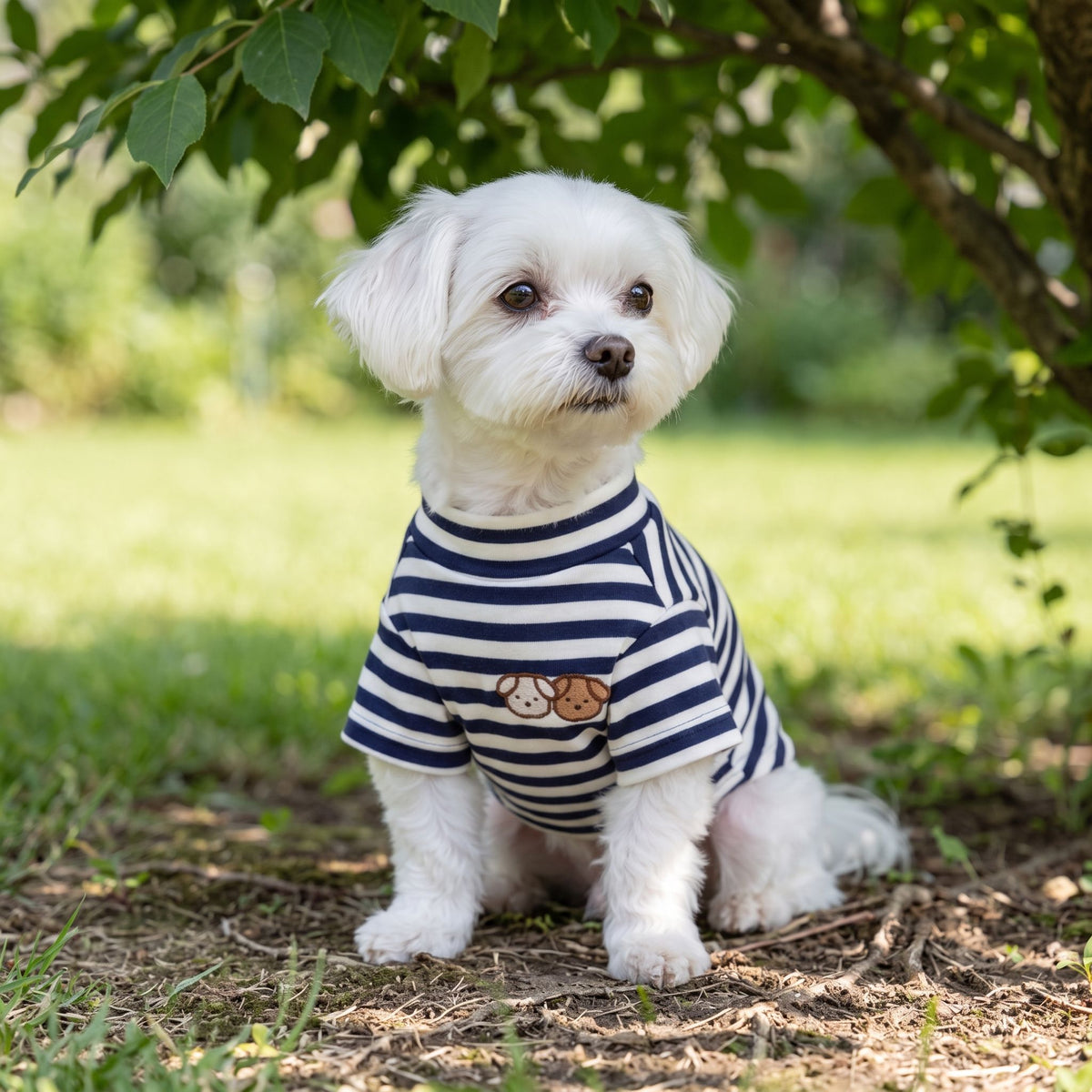Small dog in navy and white striped lightweight summer shirt sitting shaded under a leafy tree.