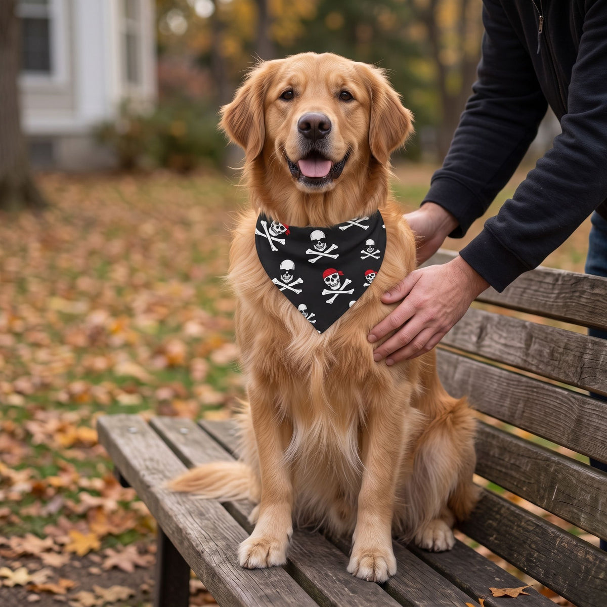 Dog wearing Halloween Skull Dog Scarf sitting on a park bench held by a person, with autumn leaves in the background.