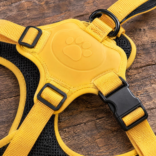 Macro view of harness buckle and adjustable straps showing high-quality stitching and material durability.