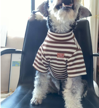 Lightweight Summer Outfit for Small Dogs