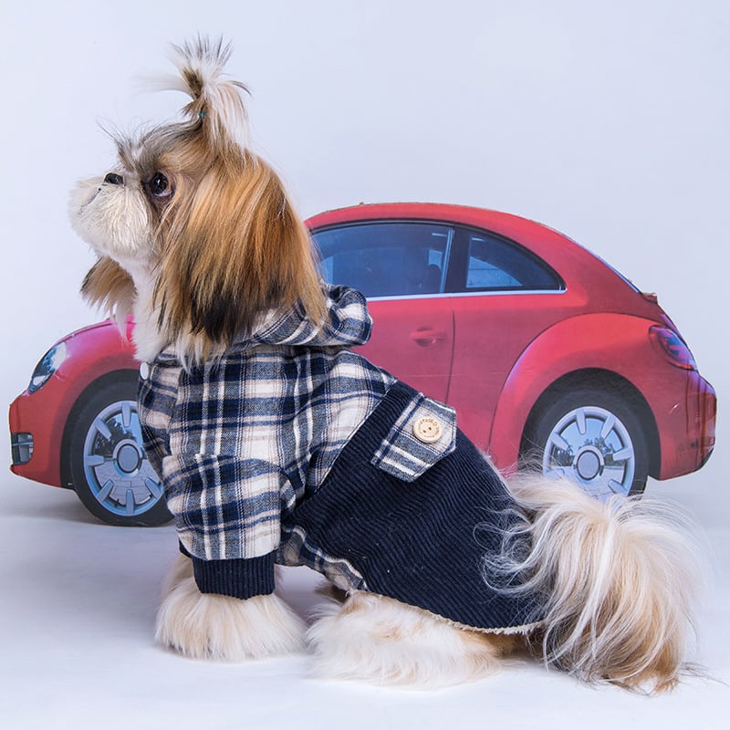 Pomeranian Small Dog Cashmere Hoodie Coat