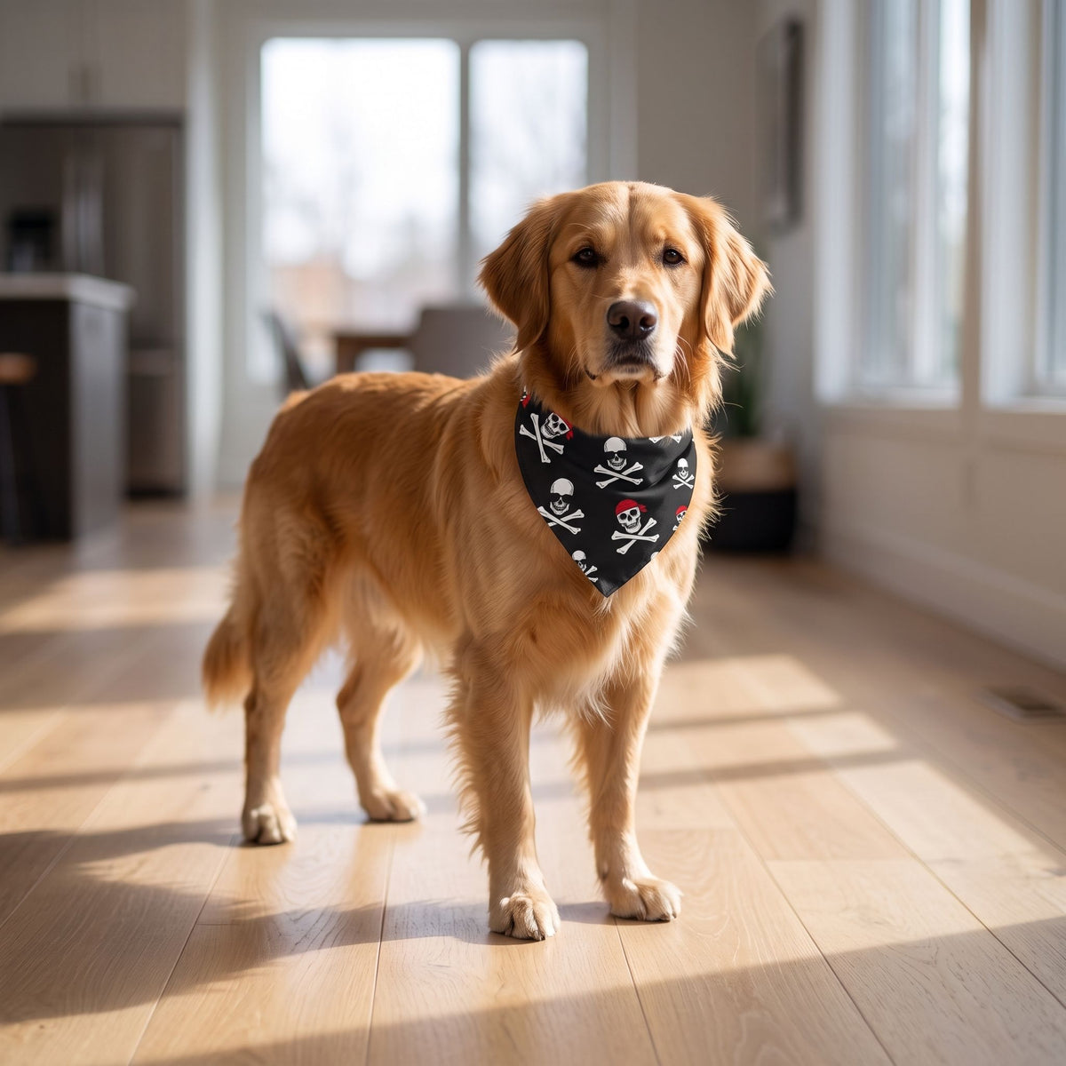 Full-body of a dog standing on hardwood floor wearing Halloween Skull Dog Scarf, natural indoor lighting.