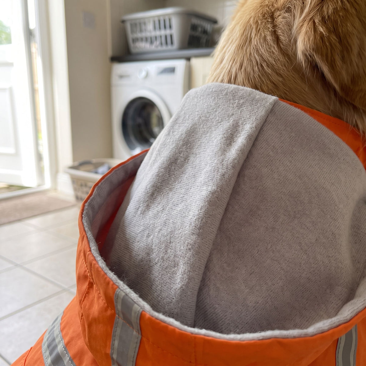 Close-up of pet shower jacket's inner lining with dog in bright laundry room setting.
