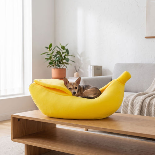 Wide shot of a banana pet bed in a sunlit living room with a small dog curled inside, demonstrating scale and cozy design.