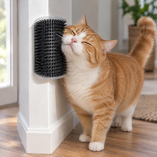An orange cat self-grooming corner brush installed on a white wall with an adhesive base.
