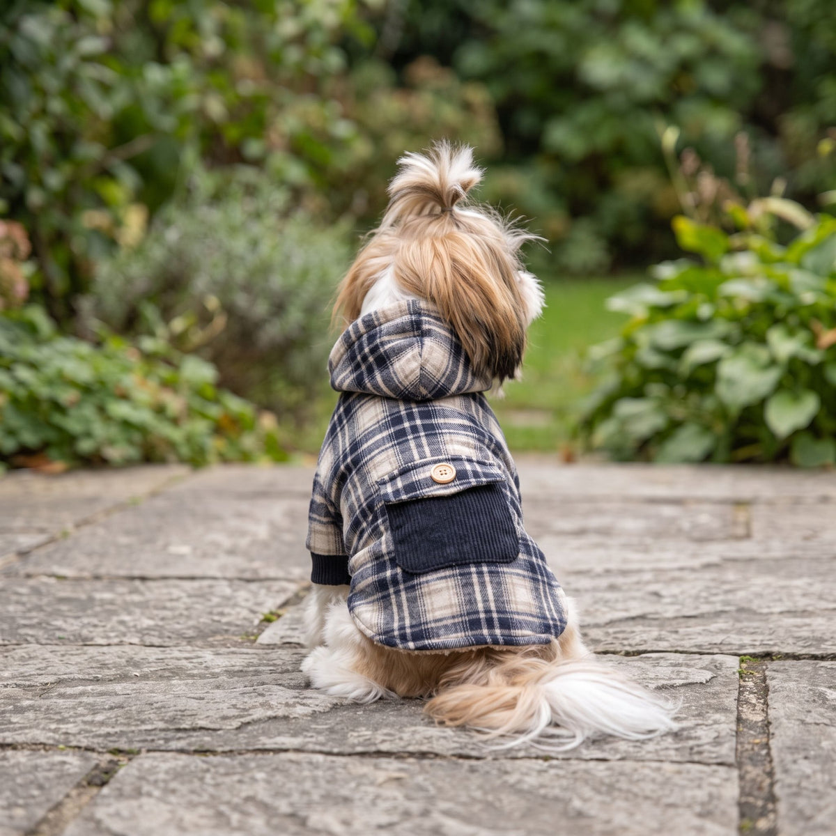 Small dog wearing cashmere hoodie coat sitting on weathered gray stone patio outdoors.