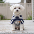Small Maltese dog wearing navy and white striped lightweight summer T-shirt on a gray concrete porch.